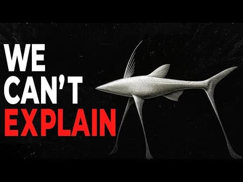The Creepiest Fish Found at the Bottom of Our Oceans thumbnail