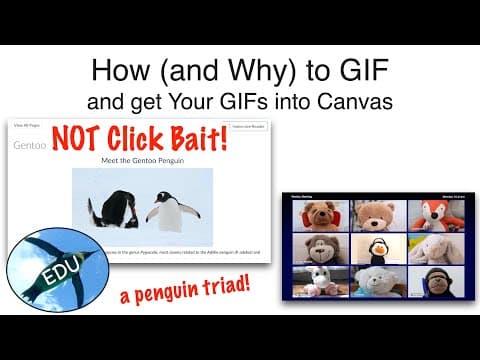 How (and WHY) to GIF (and Get Your GIFs Into Canvas) thumbnail