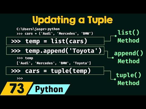 Updating a Tuple in Python thumbnail