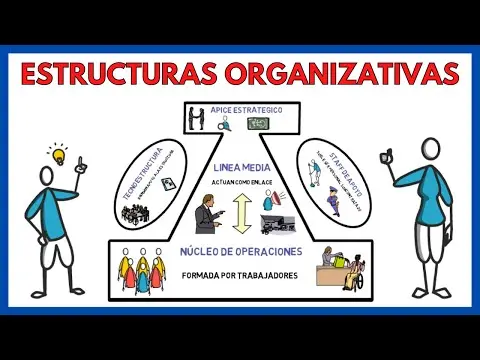 ESTRUCTURAS ORGANIZATIVAS de una EMPRESA âž• Ejemplos | EconomÃa de la empresa 147# thumbnail