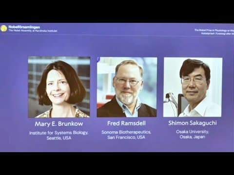 How Does Peripheral Immune Tolerance Work? thumbnail