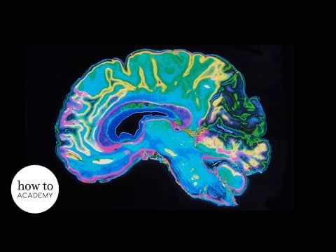 Demolishing the Myth of the Female Brain thumbnail