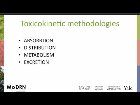 What Are the Four Steps of Toxicology ADME? thumbnail