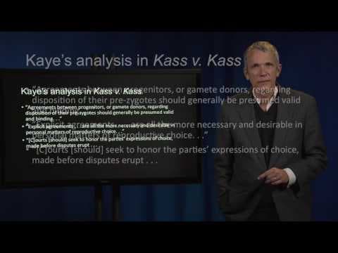 What Happens to Frozen Embryos in Divorce Cases? thumbnail