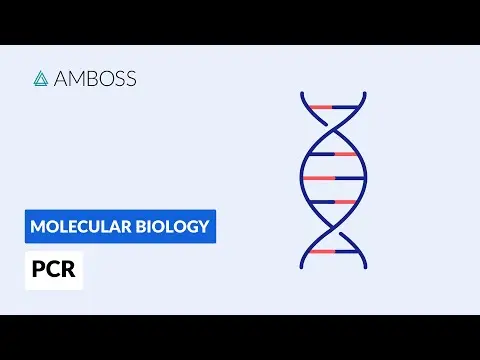 Polymerase Chain Reaction (PCR): DNA Amplification thumbnail