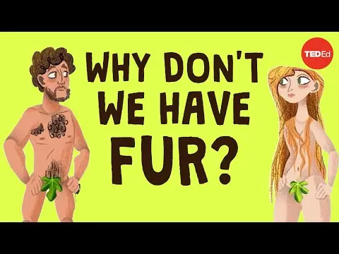 Why do we have hair in such random places? - Nina G. Jablonski thumbnail