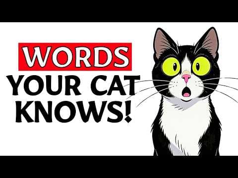 5 WORDS Your Cat Truly UNDERSTANDS (Backed by SCIENCE) thumbnail