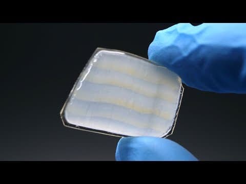 How to Make Transparent Wood Successfully? thumbnail