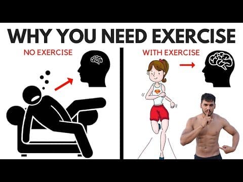 10 Benefits Of Exercise On The Brain And Body - Why You Need Exercise thumbnail