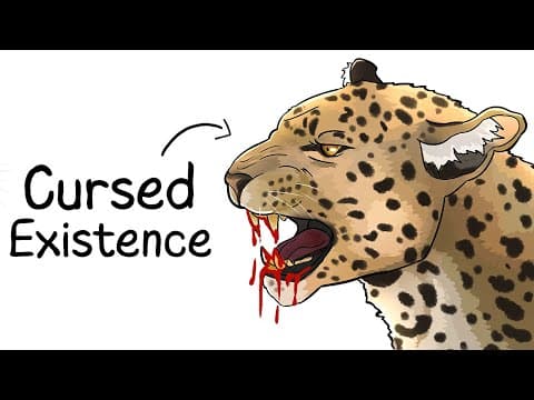 Why it Sucks to Be Born as a Leopard thumbnail