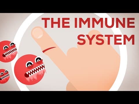 What Is the Immune System and How Does It Protect Us? thumbnail